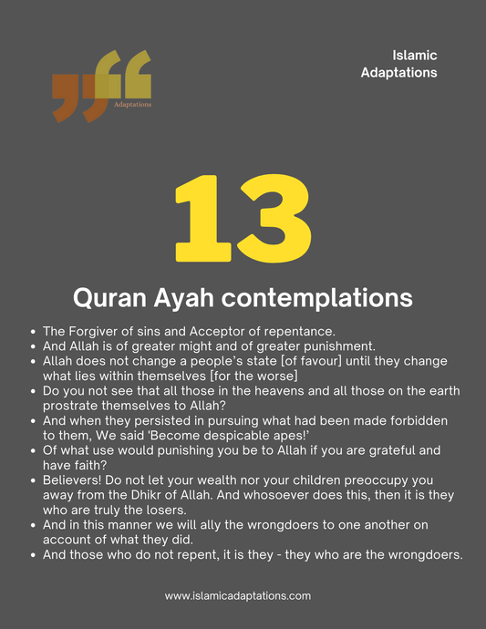 Quran Ayah contemplations 13